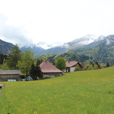 Im Mai im Allgäu (2)
